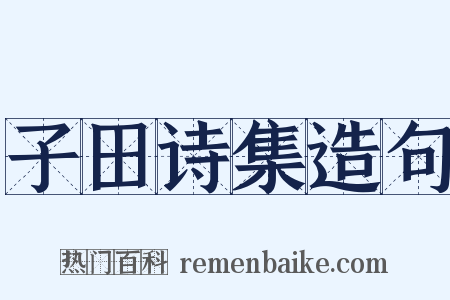 子田诗集造句是什么意思的图片